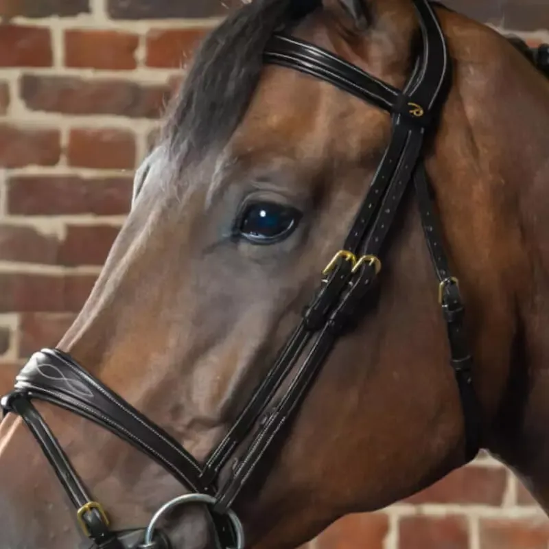 Prix Rduit Montants de mors Dy'on D Collection bridon cheval - FULL - Noir