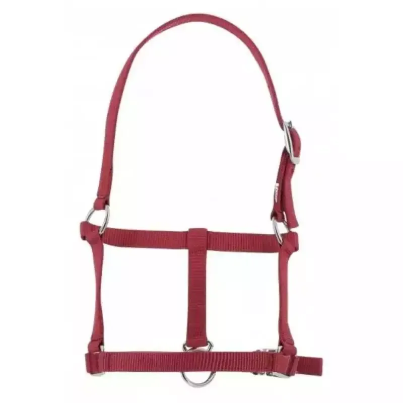 Acheter En Ligne Licol poulain nylon Riding World – Foal