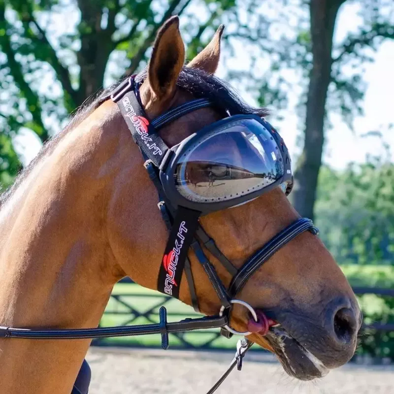 Achat Immdiat Lunette cheval eVysor eQuick masque anti mouche cheval anti UV – Unique – Vert