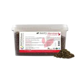 Phyto MEMBRES (circulatoire) Usine Directe