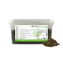 Achat Immdiat PHYTO SENIOR (forme pour chevaux ags)