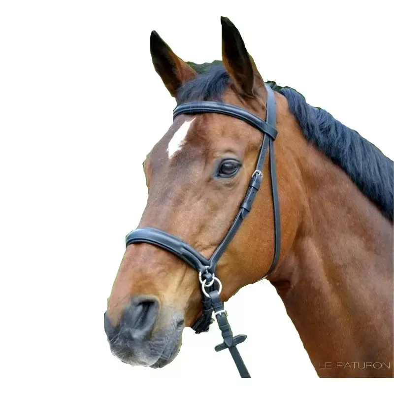 Authentique Bridon sans mors cuir - Grand cheval - Trait - Noir