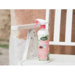 EASY SHINE DEMELANT RAVENE Achetez Aujourdhui
