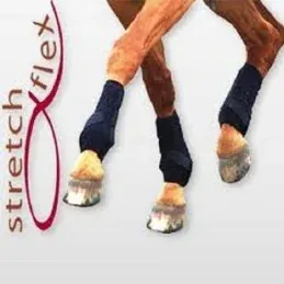 GUETRES EQUILIBRIUM DRESSAGE INTEGRALES - Noir - XL Promotion