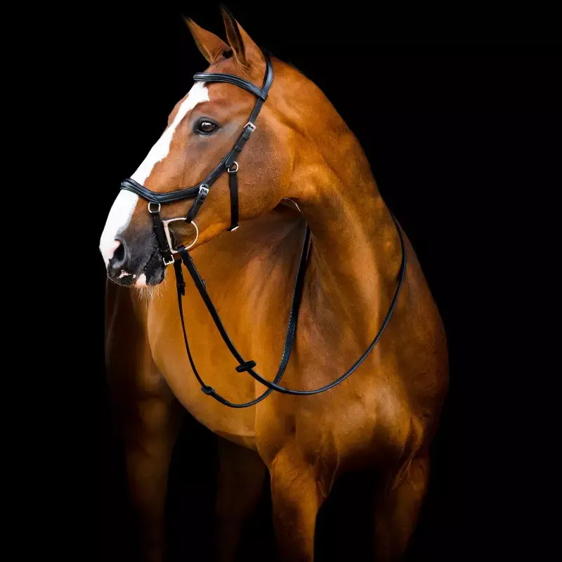 Bridon cheval Micklem Rambo Deluxe Horseware cuir anatomique - Cob/pur-sang - Noir Haute Qualit