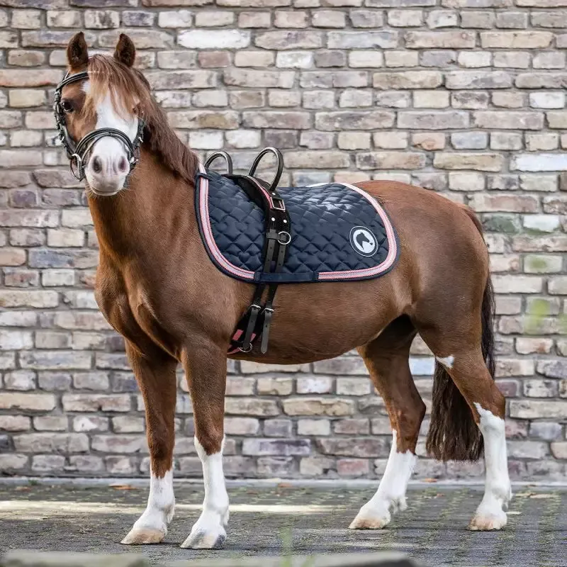 Offre Limite Surfaix cheval 2 poignes Waldhausen - Poney - Noir/rose/rouge