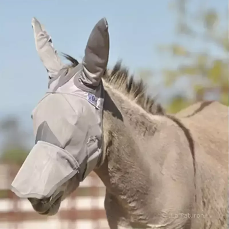 Nouveaut Masque anti mouche ne mule Cashel avec oreilles et naseaux - Foal/mini-shetland