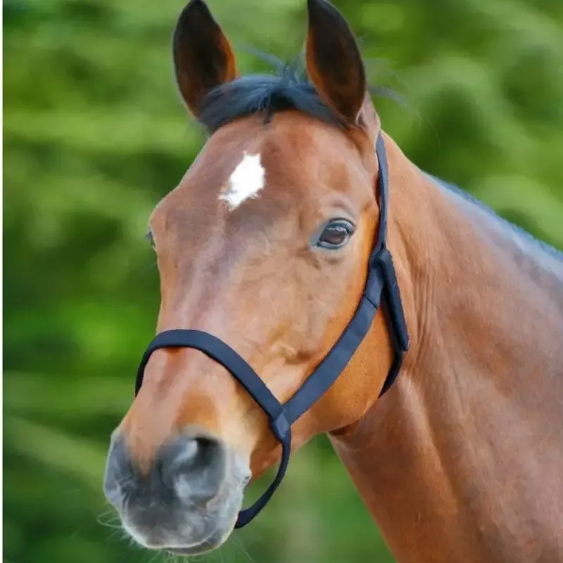 Licol cheval prairie plat sans boucle Waldhausen - Cheval - Bleu nuit Satisfait Ou Rembours