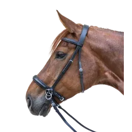 Promotion BRIDON BITLESS TWO STAR NOIR WALDHAUSEN - COB