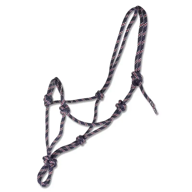 Licol thologique cheval Waldhausen - Cob/pur-sang - Noir Meilleure Vente