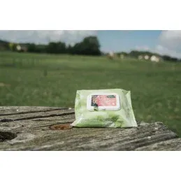 Offre Exclusive EASY SHINE WIPES LINGETTES CHEVAUX