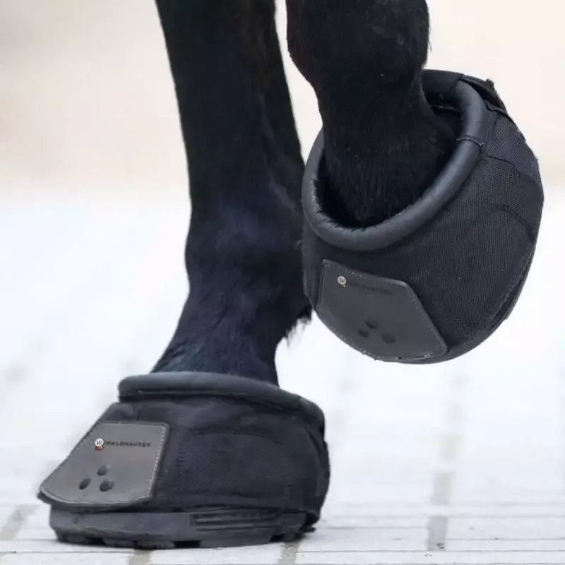 Hipposandale cheval - Cheval pied nu - Waldhausen - 4 - Noir Rduction