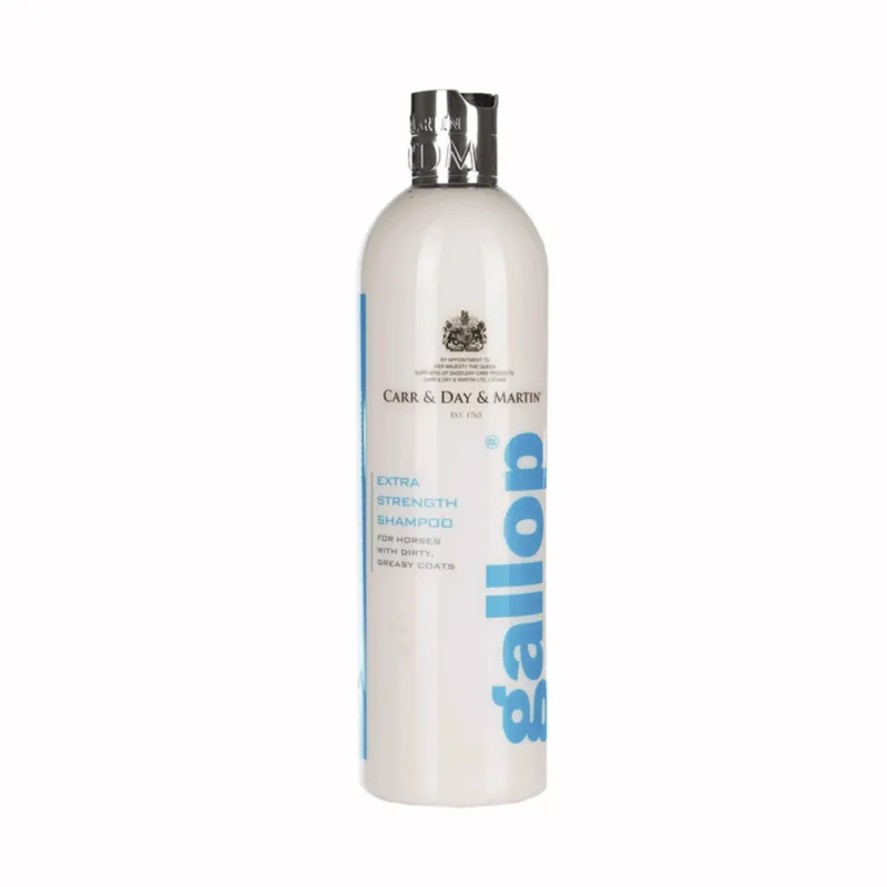 Champ Caballos Sucios Carr & Day Must-Have