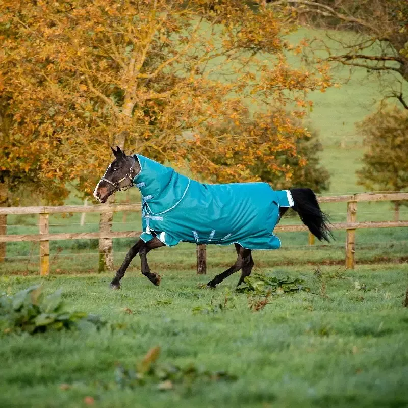 Couverture cheval Horseware Heavy Amigo Bravo 12+ 400g - 130 cm - Noir/rouge Dernire Chance