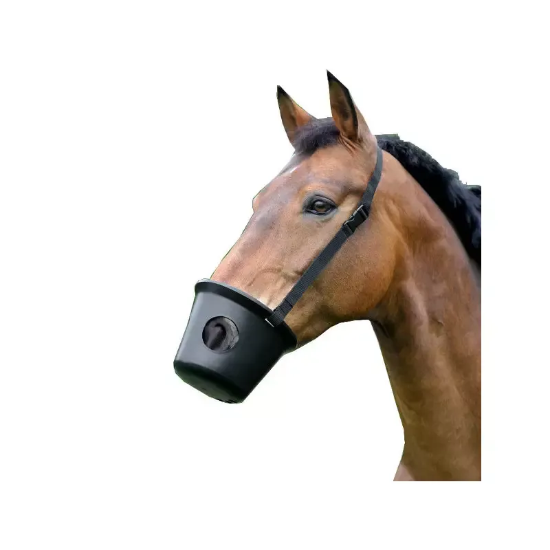 Affaire Saisir Muselire anti-colique cheval Waldhausen - Poulain/Foal