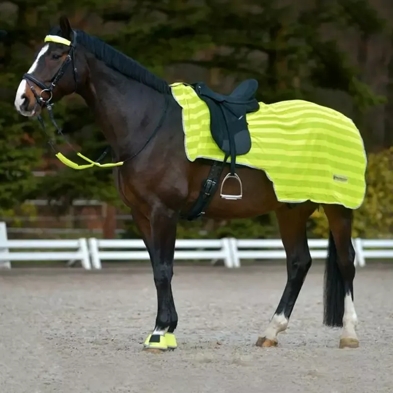 Couvre reins fluo cheval Reflex Waldhausen Achetez Aujourdhui