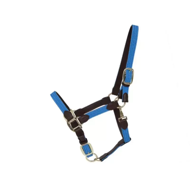 Super Prix Licol cheval nylon tress Kentucky cuir - Cob/pur-sang - Bleu Clair