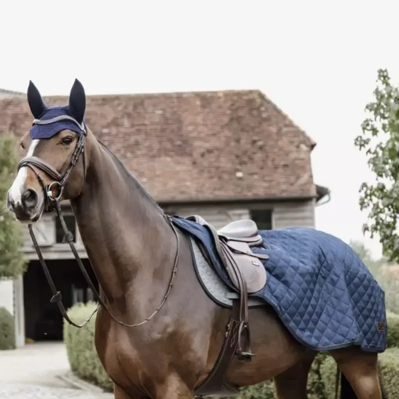 Top Vente Couvre-reins cheval 160g Kentucky - L - Noir