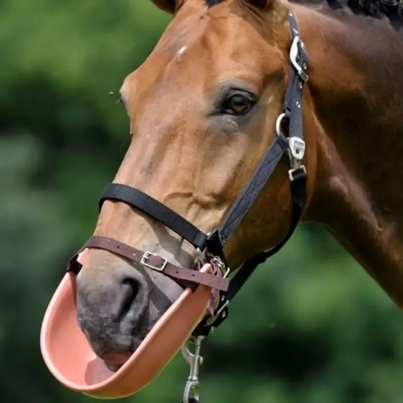 Commander Maintenant Muselire bavette anti-mordillement cheval