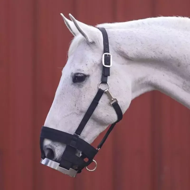 Nouvelle Collection Muselire fourbure cheval Cashel - Cheval
