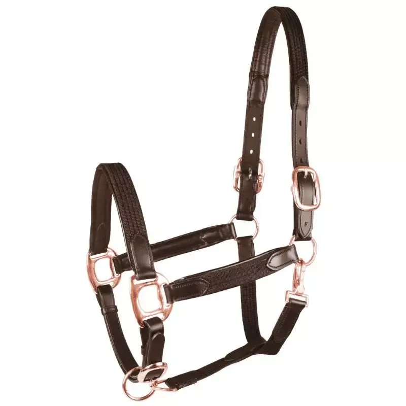 Nouvel Arrivage Licol Waldhausen cuir et toile Mix cheval - Poney - Noir/or rose