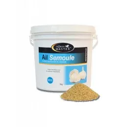 AIL SEMOULE 1KG HORSE MASTER Nouvelle Collection