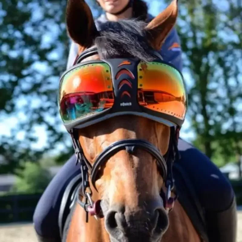 Dernire Chance Lentilles de remplacement lunettes cheval eVysor eQuick – Unique – Vert