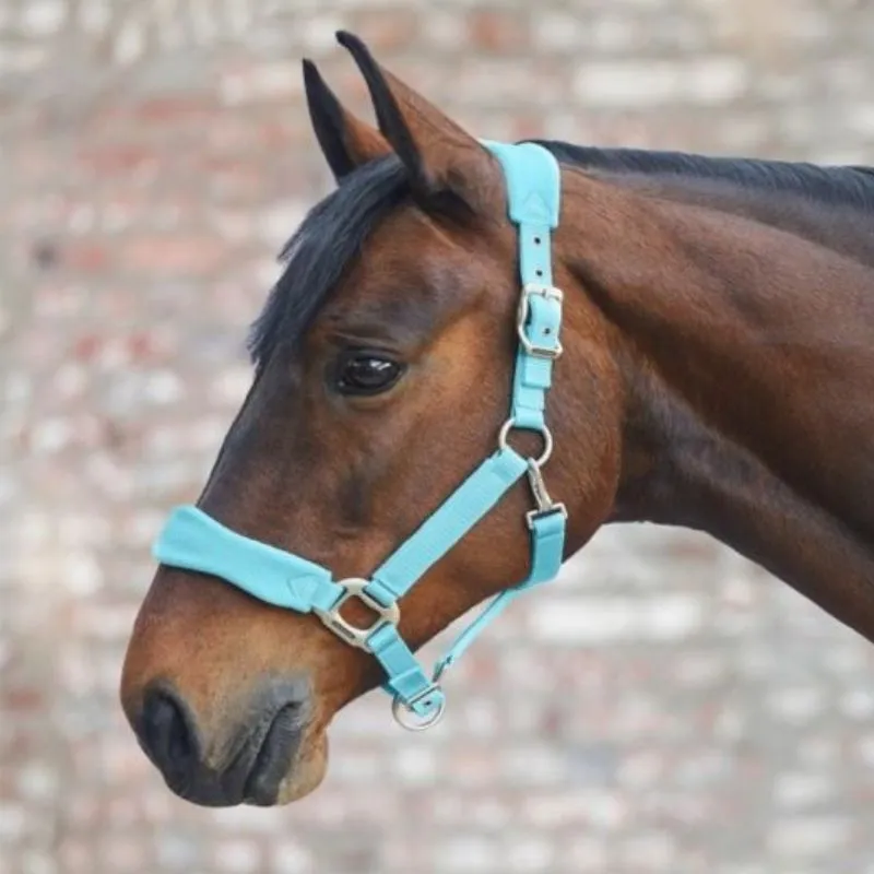 Jusqu puisement Des Stocks Licol cheval nylon Premium Soft matelass Waldhausen - Cheval - Bleu Clair