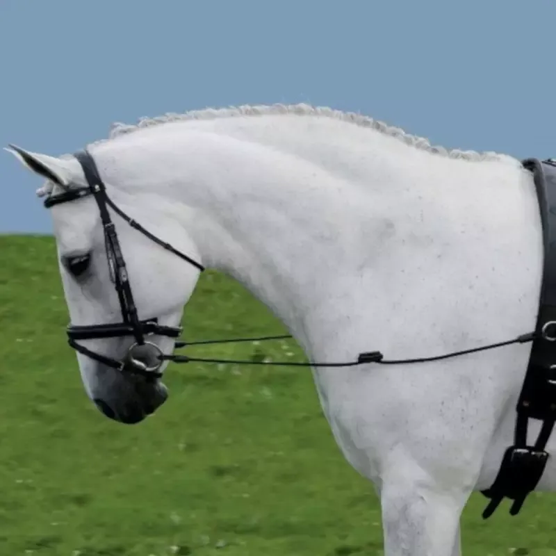 Offre Exclusive Paire de rnes de ct lastique cheval