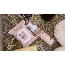 Livraison Gratuite EASY SHINE MOUSS 200ML