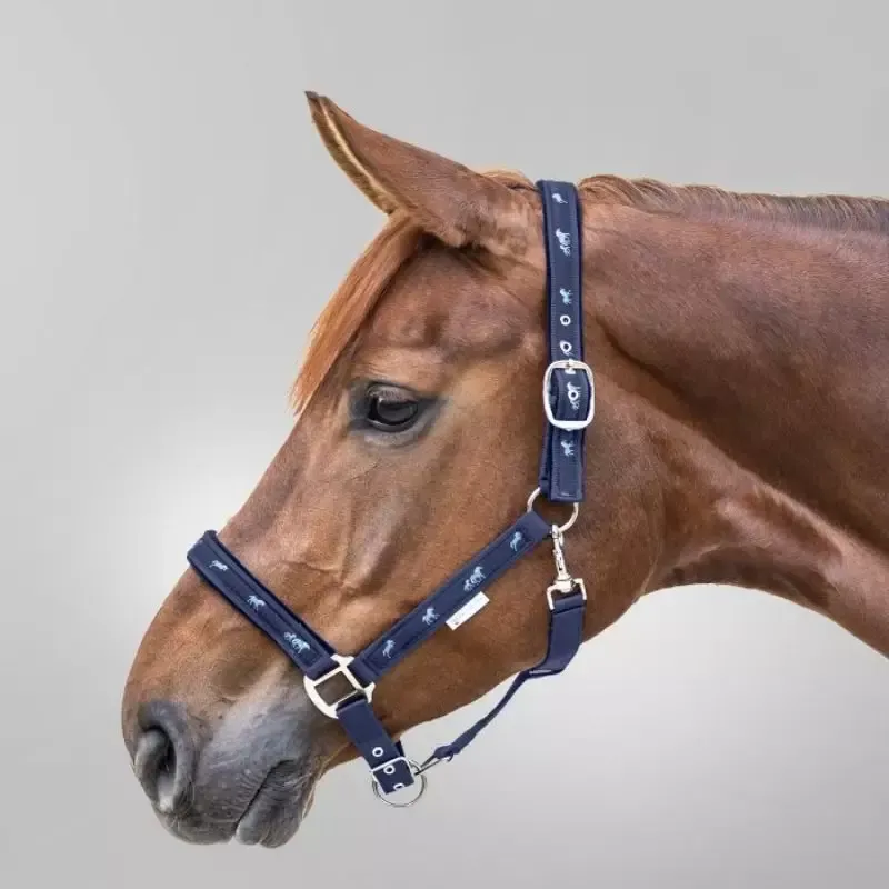 Quantit Limite Licol cheval dco petits chevaux nylon Waldhausen - Cheval - Noir