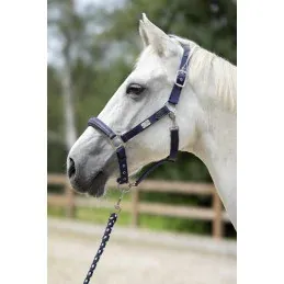 LICOL ARUBA HKM - Rouge - Poney Offre Spciale