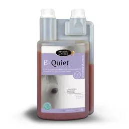 BQUIET 1L HORSE MASTER Acheter Direct