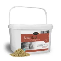 Produit De Marque BEST HOOF BIOTINE 2KG HORSE MASTER