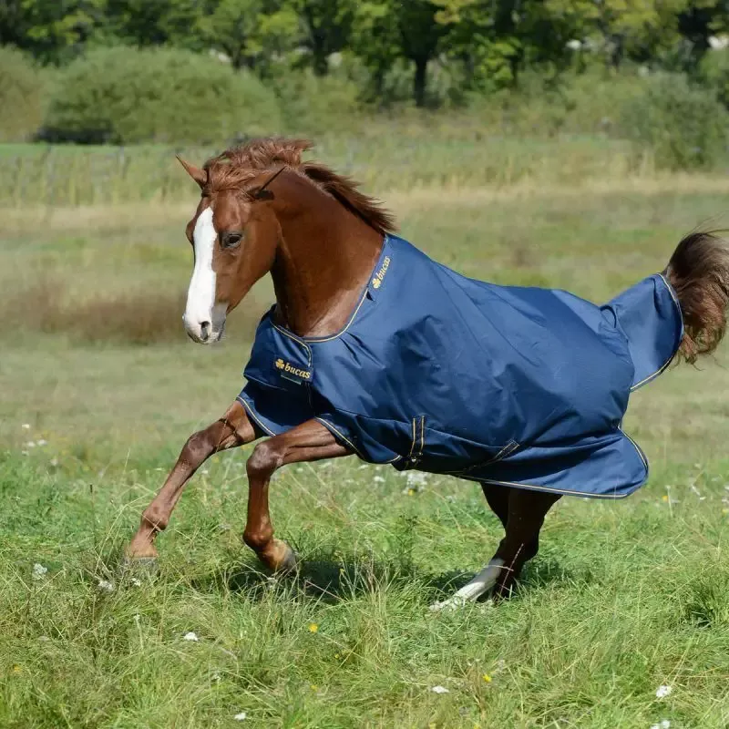Meilleure Vente Couverture cheval pr Bucas Irish Turnout Light 50g - 145 cm - Marine/or