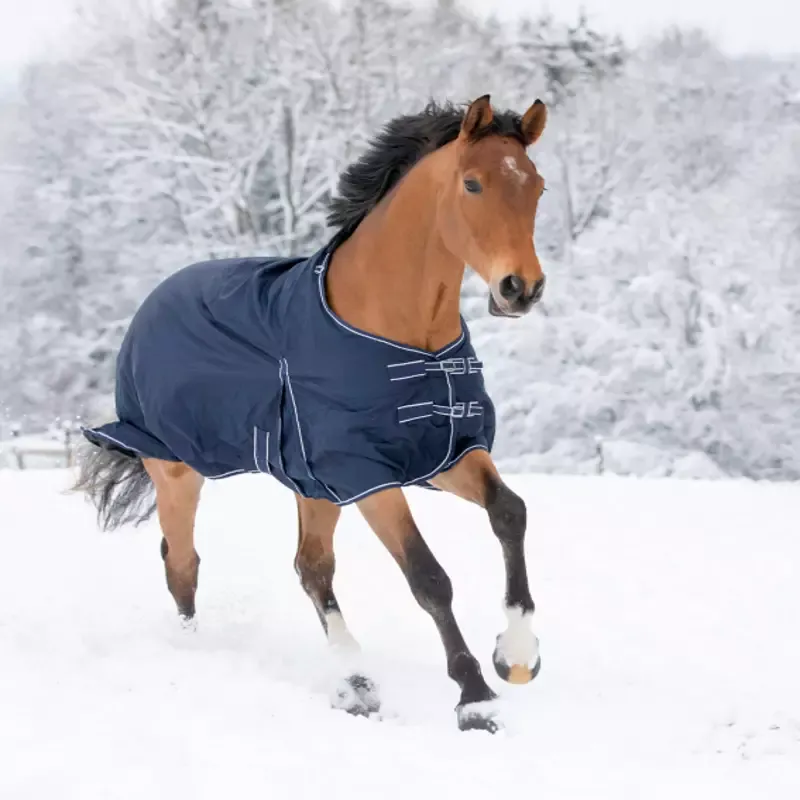 Meilleur Choix Couverture cheval extrieure Economic Clip-In polaire Waldhausen - 85 cm - Marine