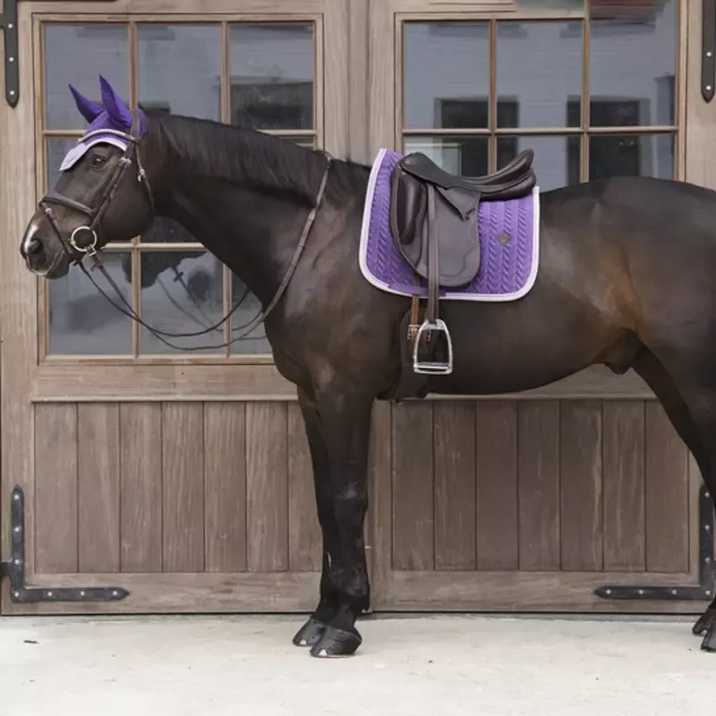 Tapis Velvet Contrast Kentucky cheval - Cheval Dressage - Violet Usine Directe