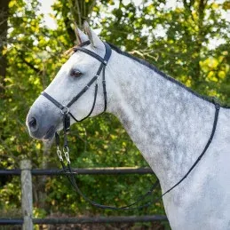 BRIDON BITLESS CETO QHP - Noir - COB Dernire Chance