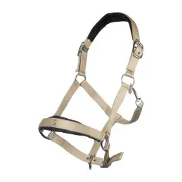LICOL AMALFI HKM – Beige – Poney Nouvel Arrivage