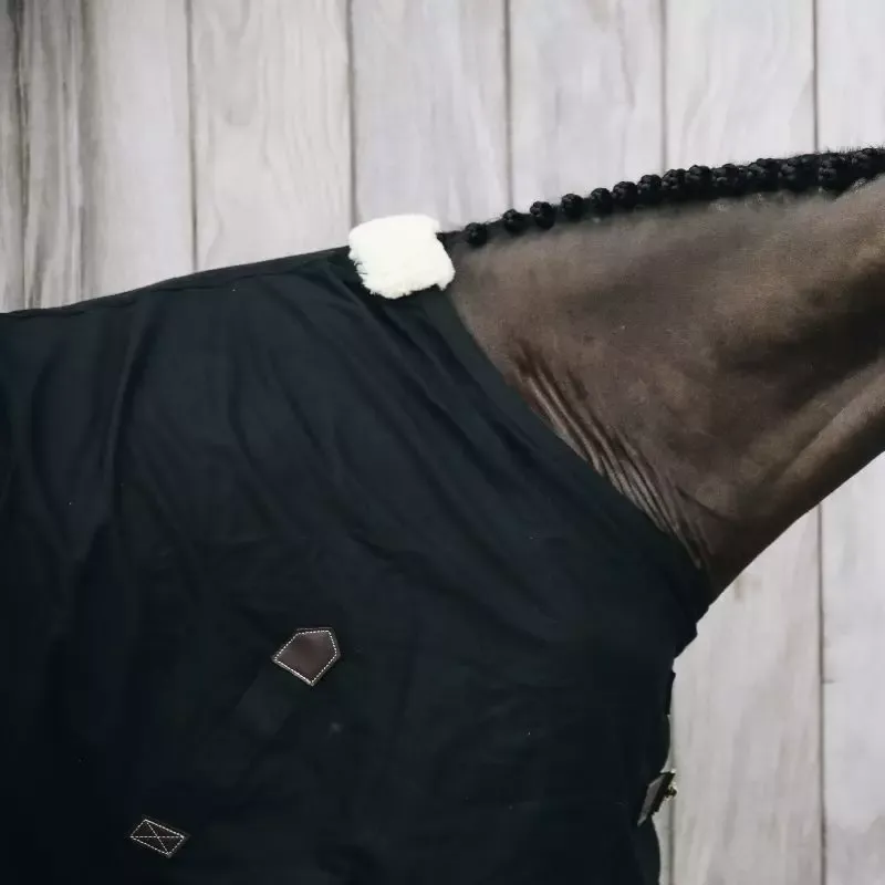 Authentique Chemise cheval coton Kentucky - 130 cm - Noir