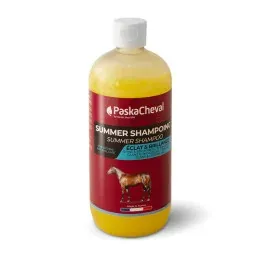 Nouvel Arrivage SUMMER SHAMPOING 500ML PASKACHEVAL
