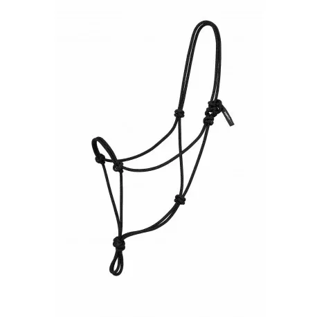 Licol thologique – Paddock Petit Prix
