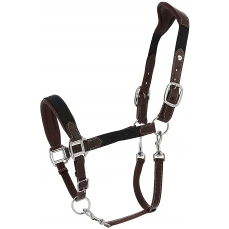 Authentique Cabezada  Dualy – Norton