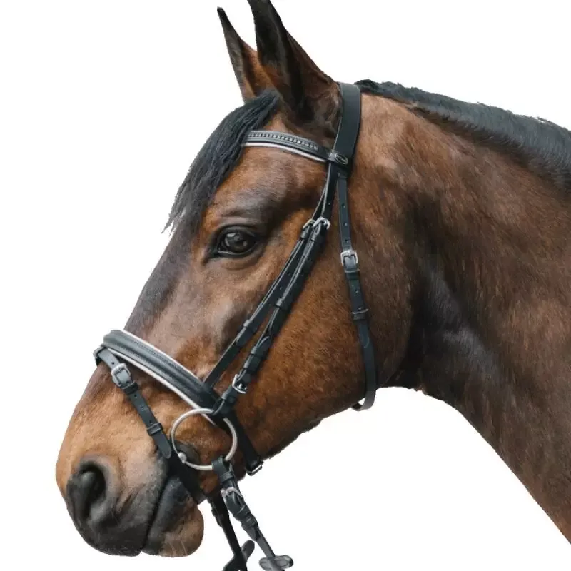 Remise Bridon cheval Diamond cuir Waldhausen muserolle combine - Poney - Vert