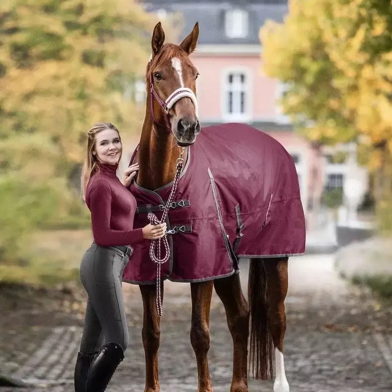 Achat Immdiat Couverture cheval Economic 300g Clip-In Waldhausen – 145 cm – Rouge vin