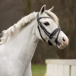 BRIDON BIXIE QHP - argent - SHETLAND Livraison Gratuite