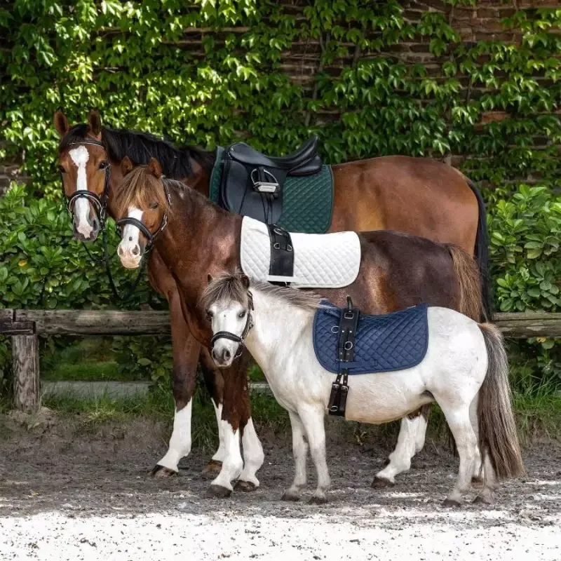Offre Du Jour Tapis cheval matelass Felix Waldhausen - Cheval Mixte - Noir