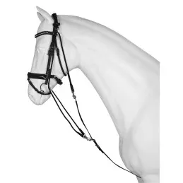 Vente Directe GOGUE NOIR HORKA – Poney