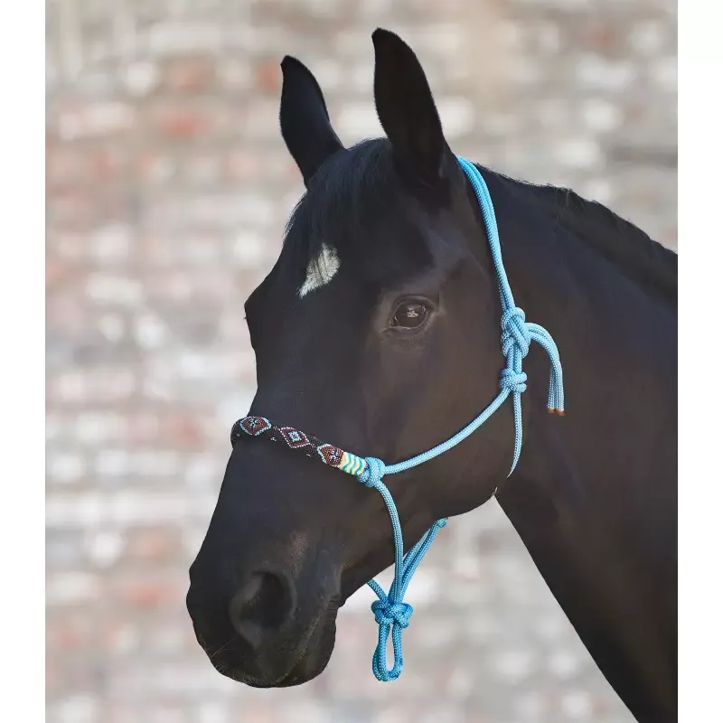 Meilleure Vente Licol thologique Waldhausen cheval perles - Cob/pur-sang - Noir