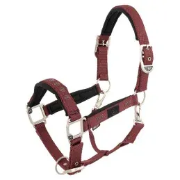 LICOL EEVOLV KARIN BR - Lotus - SHETLAND Petit Prix